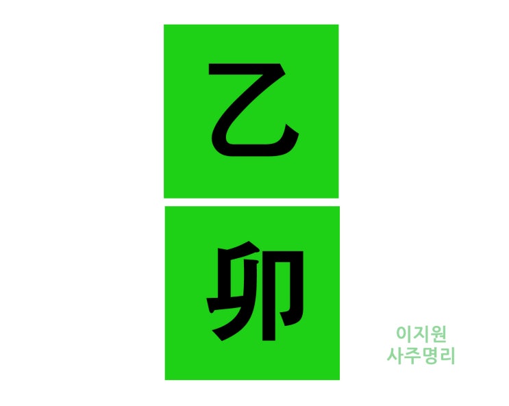  을묘일주 남자 여자 직업 개운법