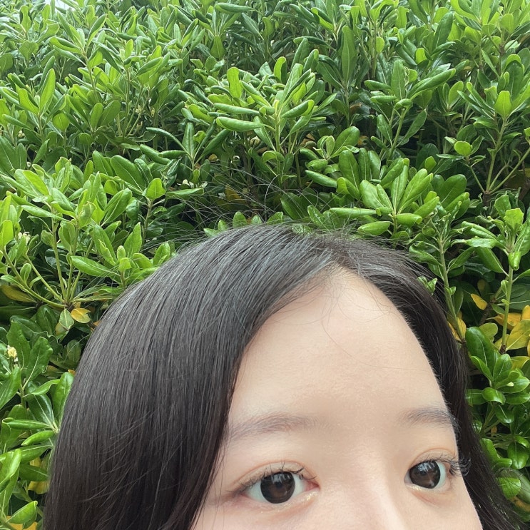  블랙렌즈 오렌즈 스모키 2년 착용해본 솔직 후기