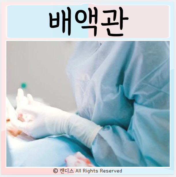  배액관 이란? 관리 종류 제거 방법