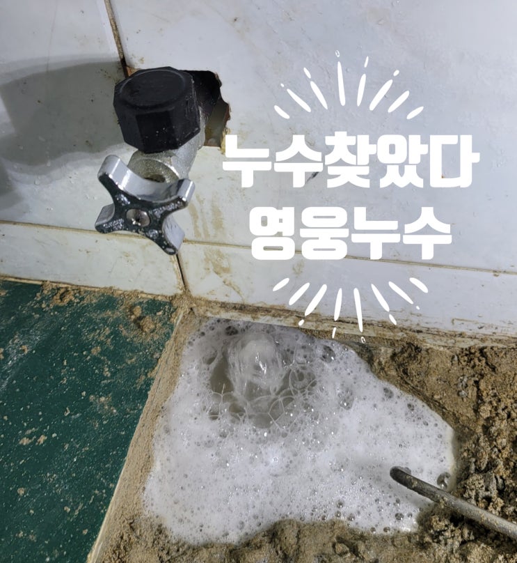  (덕양구상가주택누수)내가 누수공사로 소송까지 갔던 사람이야... 영웅누수 할수 있겠어?