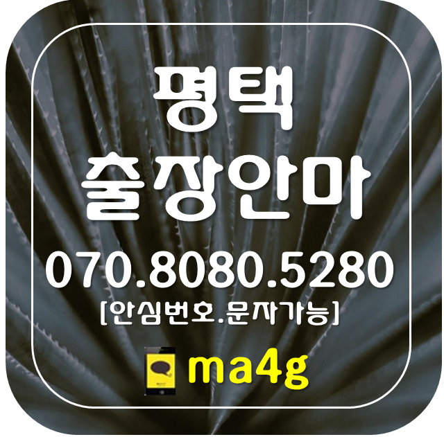 [평택출장마사지·안마]이충동 지산동 독곡동 신장동 서정동 장당동 모곡동 칠괴동 칠원동 도일동 가재동 장안동 평택동 통복동 군문동 유천동 합정동 비전동 동삭동 세교동 지제동 홈타이