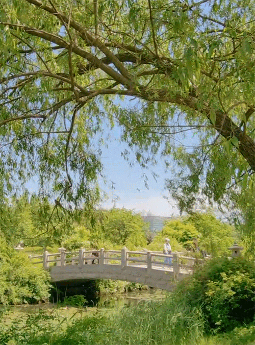 청량함 가득했던 일산 호수공원 초록 산책 청량함 가득했던 일산 호수공원 초록 산책