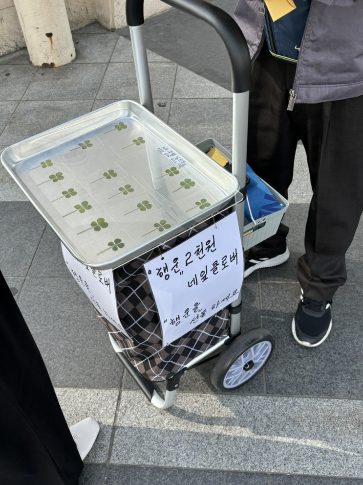  [홍대입구역] 네잎클로버 아저씨 / 네잎클로버 구매후기:)