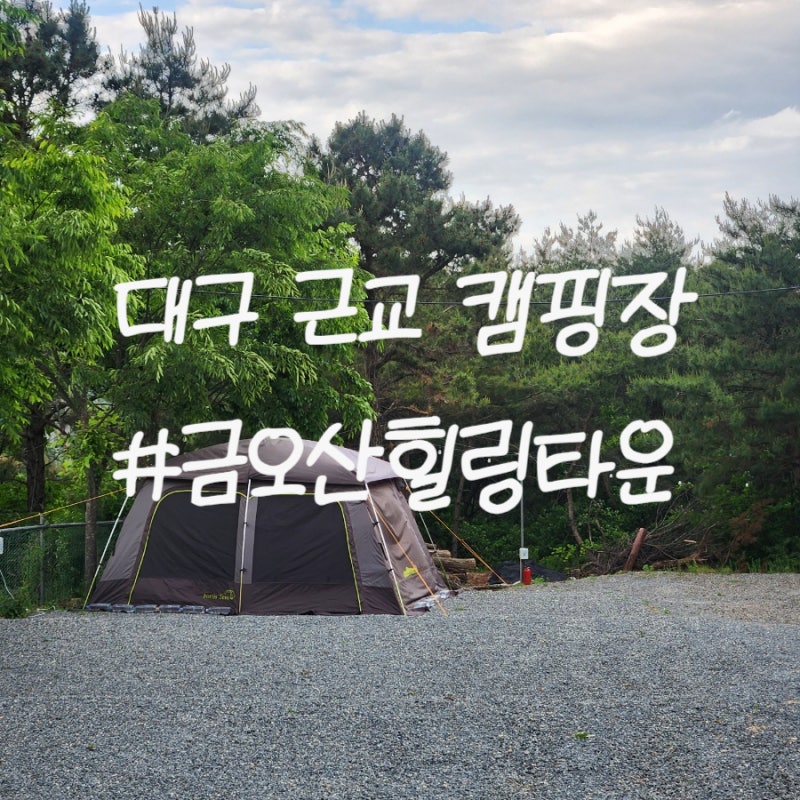 사진 5