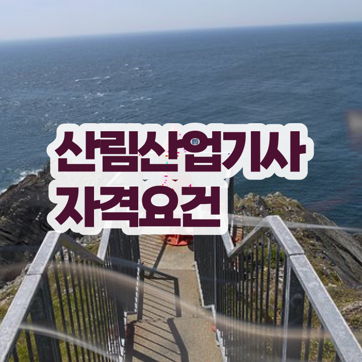  산림산업기사 필기 시험 산림산업기사 응시조건 온라인 과정으로 간편하게 준비한 방법