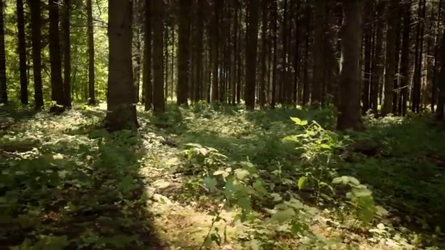  포천 사회복지사취득 ~ 사회복지사2급 조건이 안돼도 온라인으로 빠르게