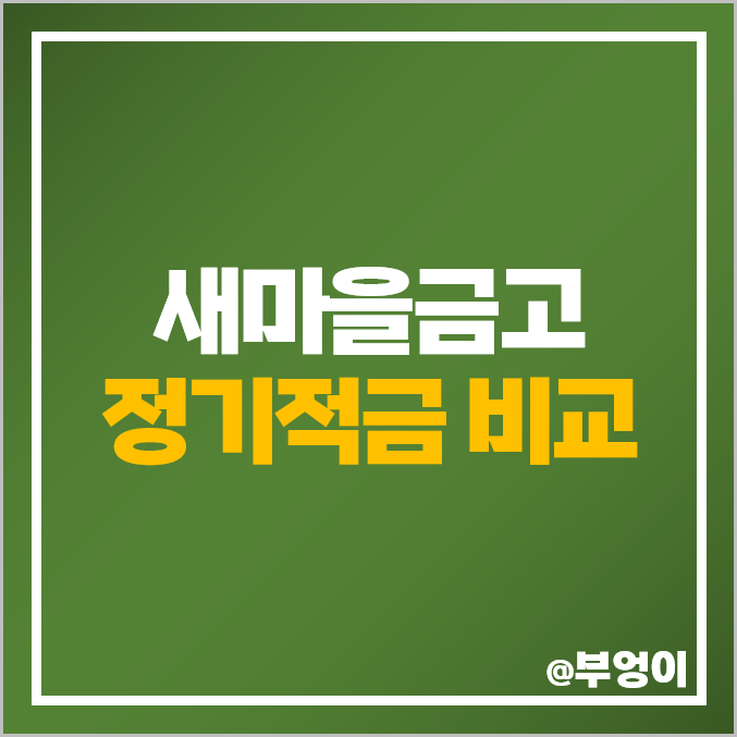새마을금고 정기적금 금리 비교 이자 높은 적금 특판 추천 새마을금고 정기적금 금리 비교 이자 높은 적금 특판 추천