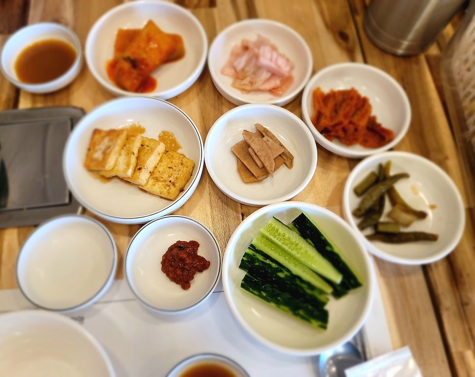 오리나무 사진 4