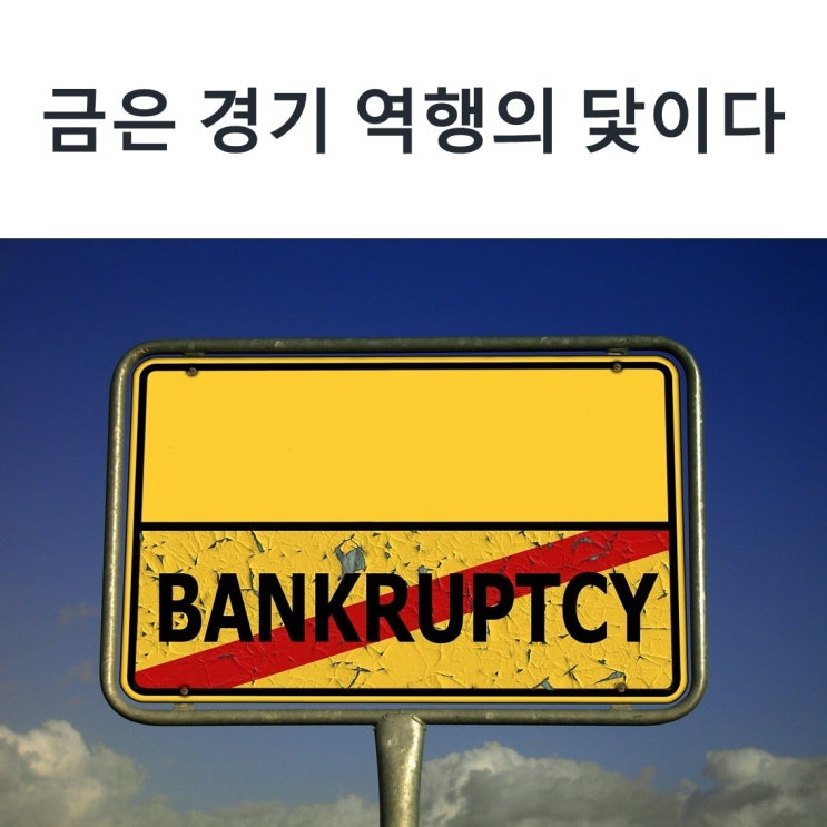  금은 경기 역행의 닻이다