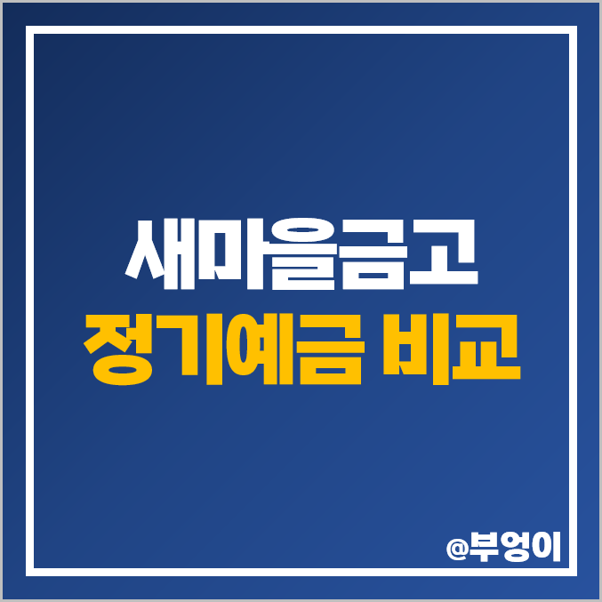 새마을금고 정기예금 금리 비교 고금리 예금 특판 추천 새마을금고 정기예금 금리 비교 고금리 예금 특판 추천