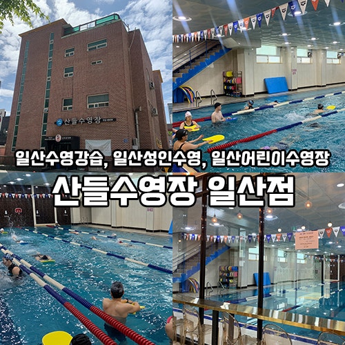 일산수영강습 산들수영장 일산점 성인수영 어린이수영 강습