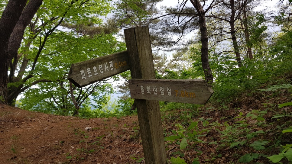매봉산 사진 3