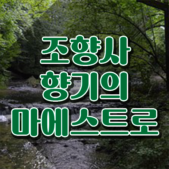  40대여자자격증 , 경단녀도 조향사 취득할 수 있어요