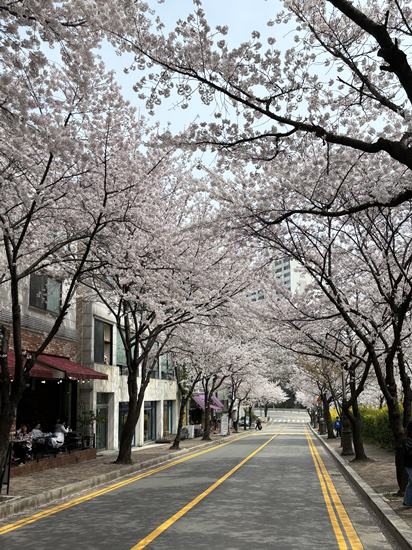  수지맛집) 벚꽃 시즌 필수 방문 신계동 장어