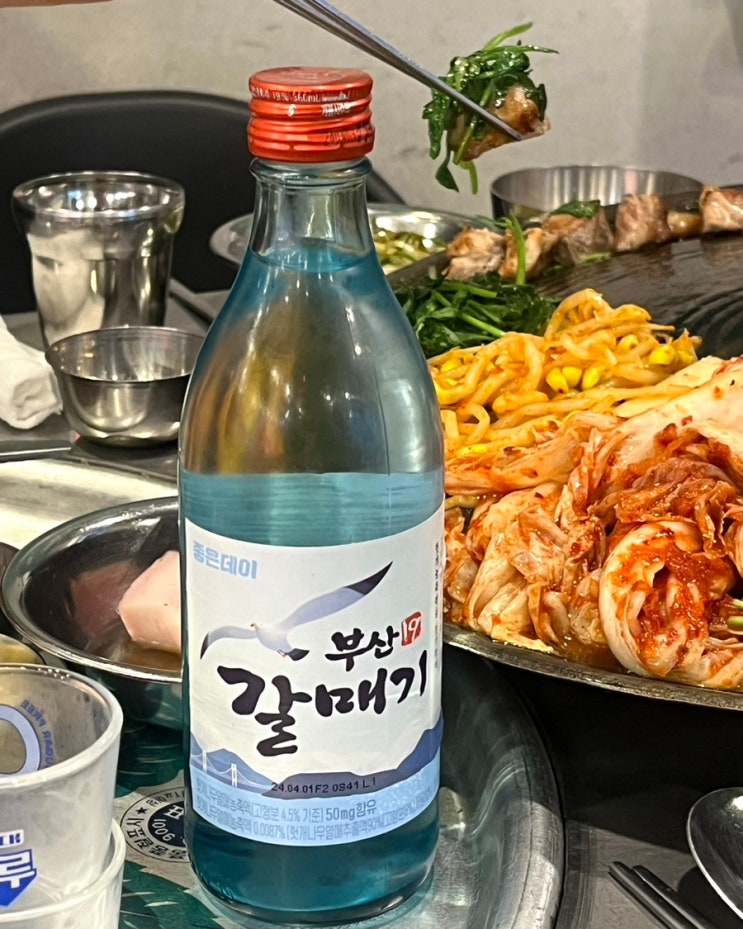  동래 고깃집 목구멍사직점 신상 무학소주 좋은데이 부산갈매기 소주 파는곳 도수 후기