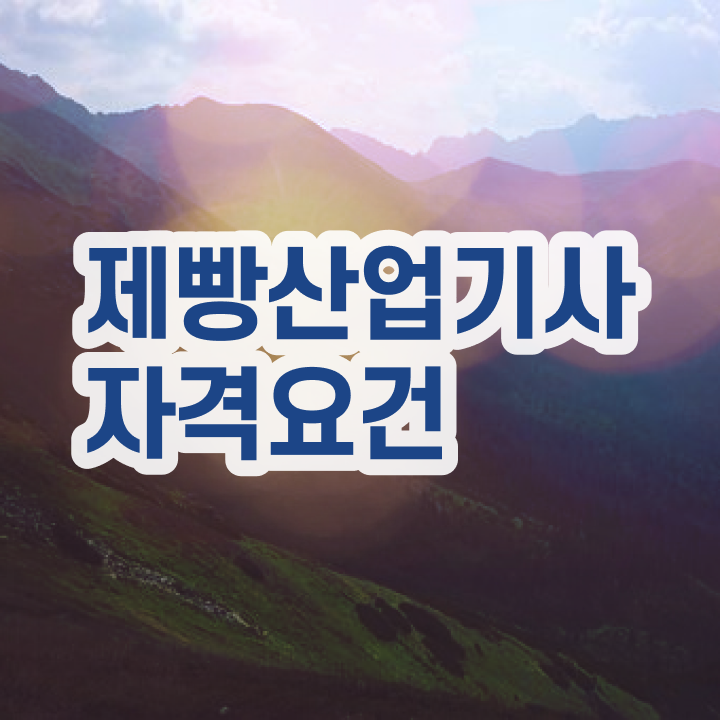  제빵산업기사 전공 제빵산업기사 자격요건 집에서 온라인으로 15주만에 완료한 팁