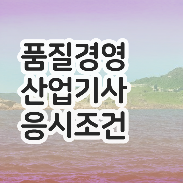  품질경영산업기사 응시조건 품질경영산업기사 자격요건 인강만 듣고 단기간에 성공한 과정