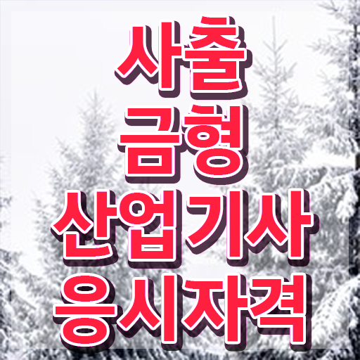  사출금형산업기사 필기 인강 사출금형산업기사 취득자격 집에서 온라인으로 1학기 만에 준비한 과정