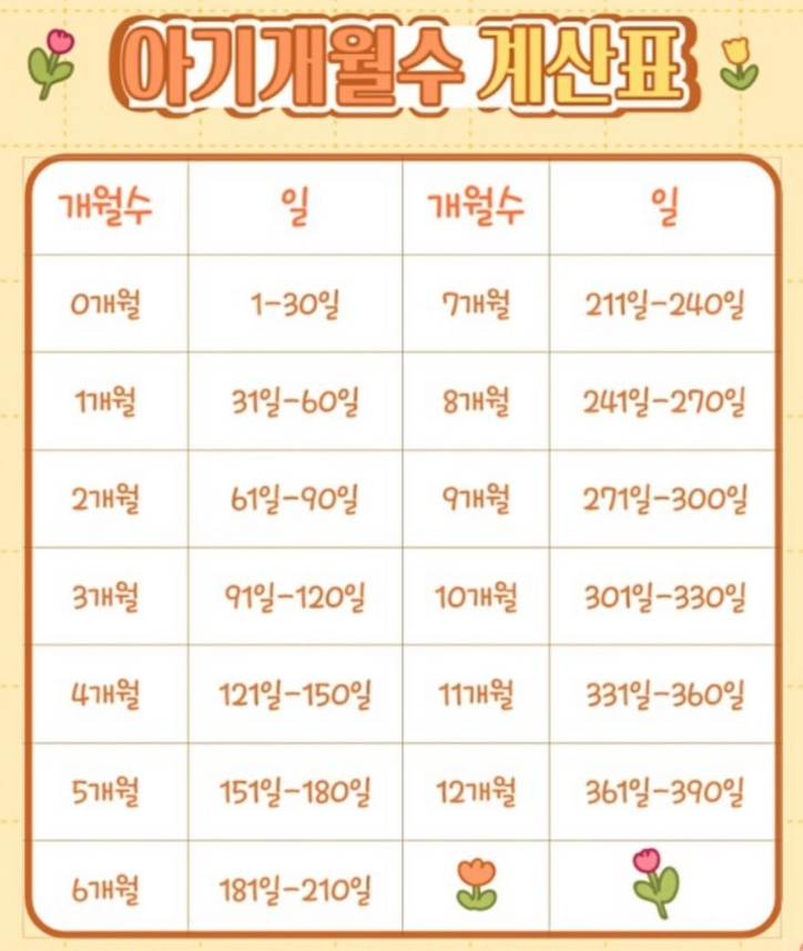  신생아 나이 0개월? | 신생아 개월수/ 유아/영유아/어린이 시기구분