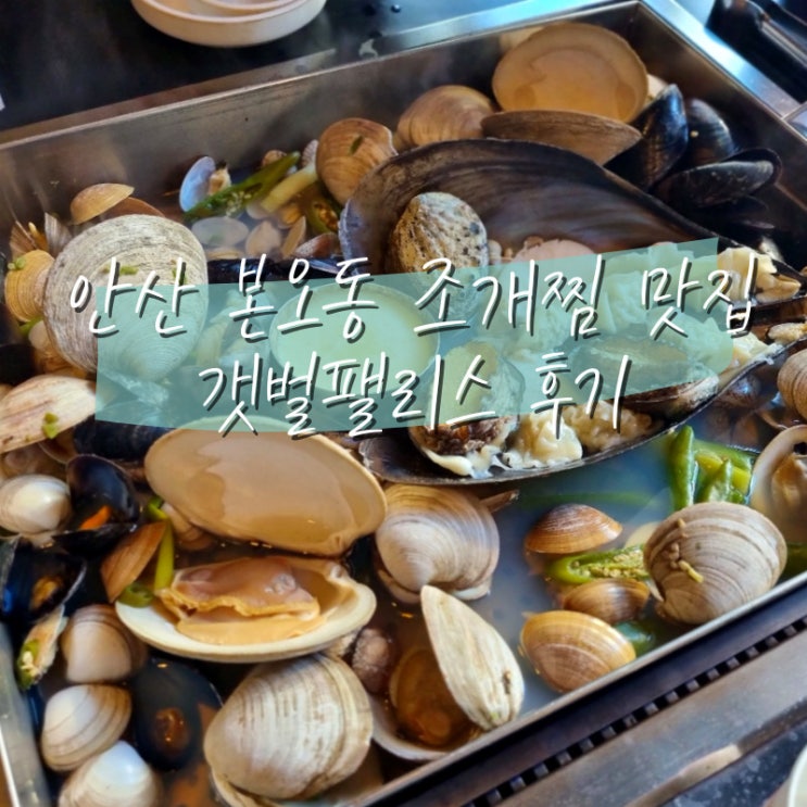  갯벌팰리스 안산 본오동 조개찜 맛집 철판모듬조개찜 후기