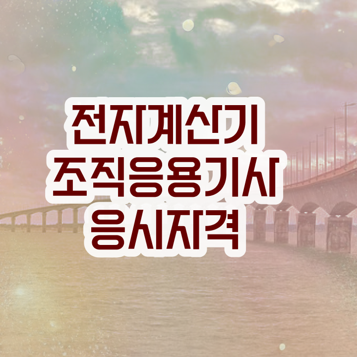  전자계산기조직응용기사 시험응시조건 학점은행제로 4달만에 준비한 비법