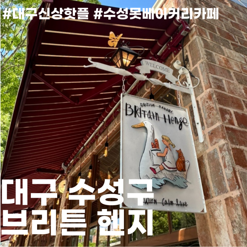 사진 5