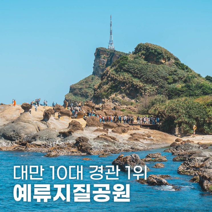  대만 예류지질공원 입장료 및 가는 법 총정리