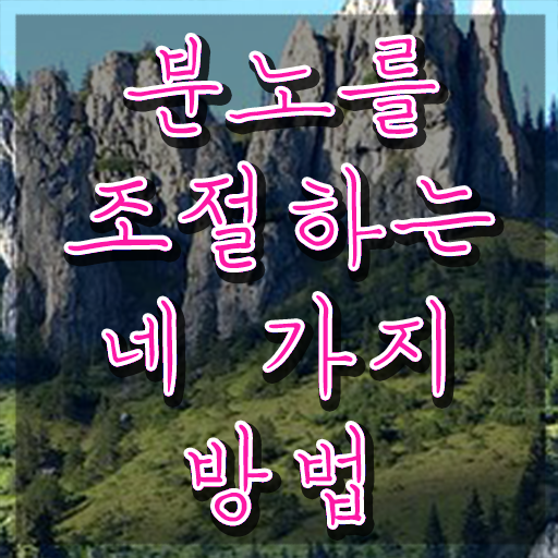  40대여자자격증 , 분노조절상담지도사 관련학과 졸업장, 경력없어도 온라인으로 편하게 끝낼수 있었던 꿀팁 모음