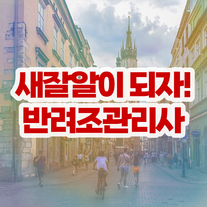  퀘이커 앵무새 수명 , 반려조관리사 자격증 비용없이 온라인으로 합격정보 확인하기