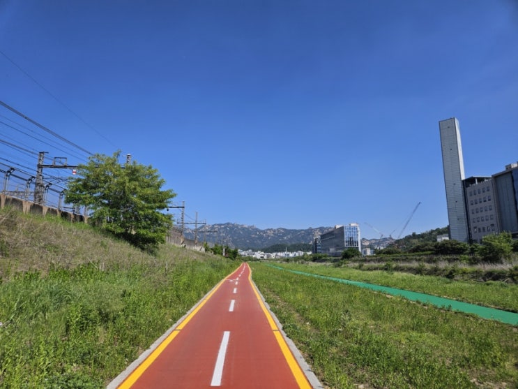  274일차