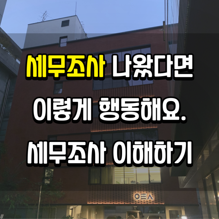  세무조사 나왔다면 이렇게 행동해요, 세무조사 대상 및 신고 기간, 대응 전략 이해하기