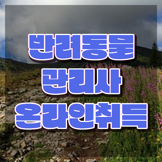  반려동물훈련사자격증 , 반려동물관리사 자격증 시험준비 핵심 정보 가득