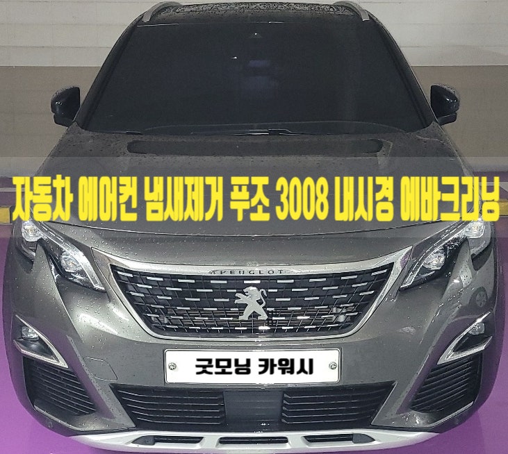  위례동 단대동 에바크리닝 푸조 3008 차량 에어컨 냄새제거
