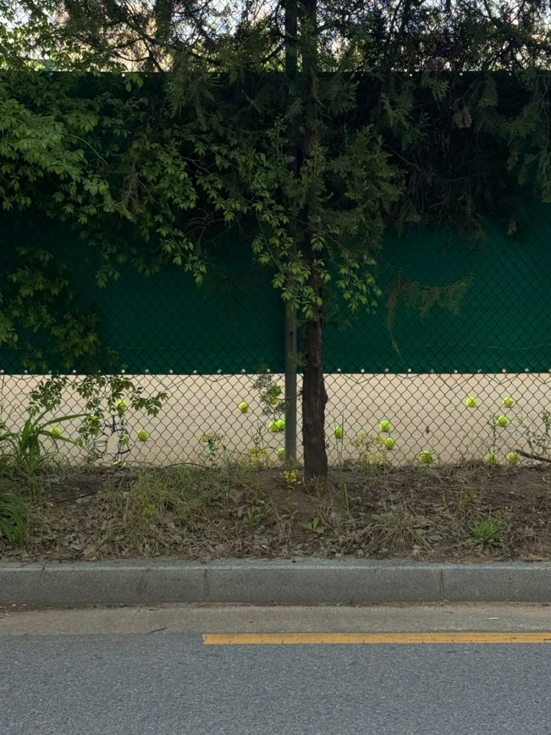 기생충 많은 음식, 50대는 특히 위험\, image size:800x1067