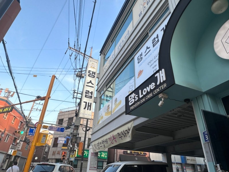 사진 2