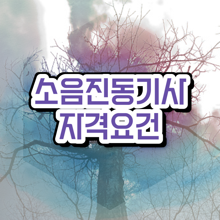  소음진동기사 시험응시조건 인강으로 5개월 만에 준비한 팁