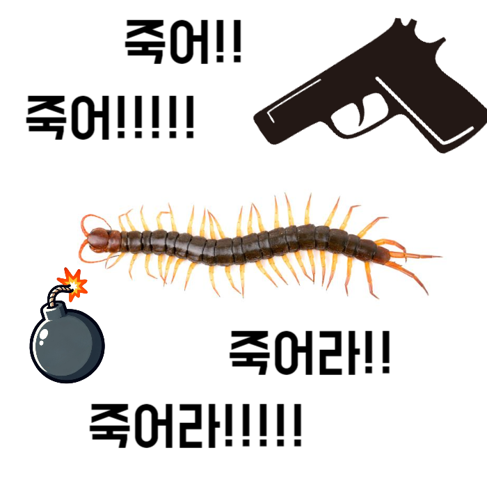 지네 순식간에 죽이는법, 예방법