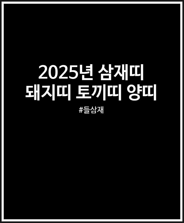  2025년 삼재띠 나네? (돼지띠 토끼띠 양띠 들삼재)