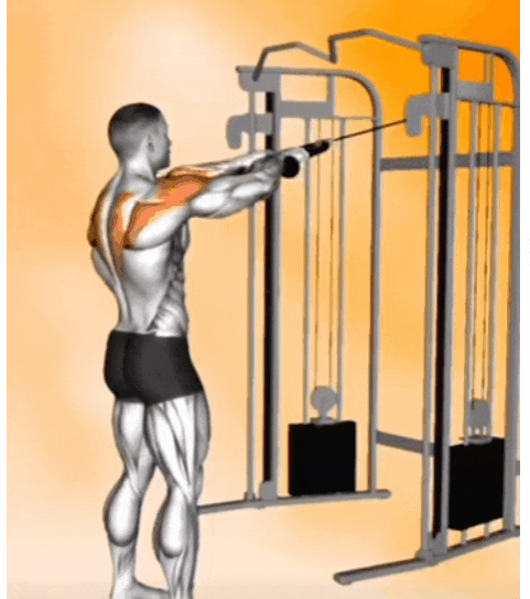 페이스풀 머신 사용법 5가지 핵심 : 어깨 후면과 견갑 안정 기준 1 페이스풀 머신 사용법 영상