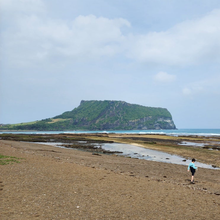 성산일출봉 뷰맛집 광치기해변, 간조 물때 잘만나면 멋진 성산일출봉을 볼수있는 곳, 성산포물때표