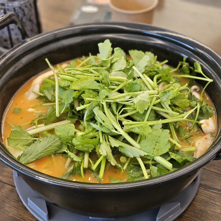  울산 송정 맛집 : 드디어 먹어본 등촌샤브칼국수 기대 이상