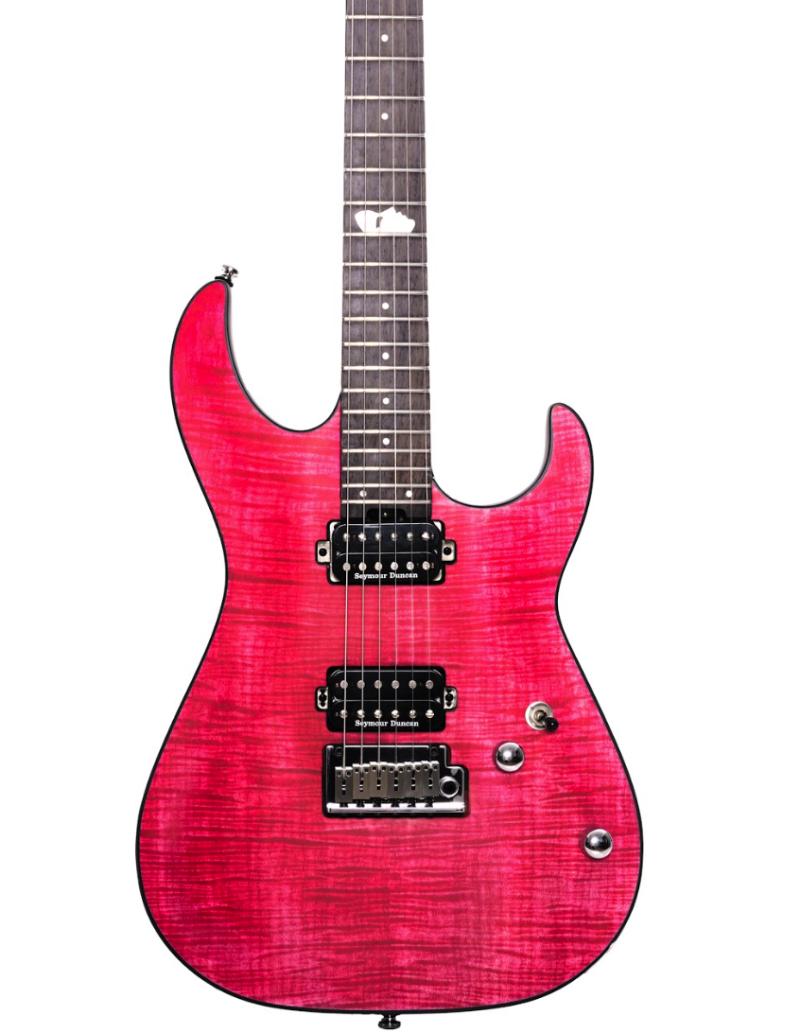 【美品】Cort ギター　Nacoco Signature NCT-01 ギターファクトリー