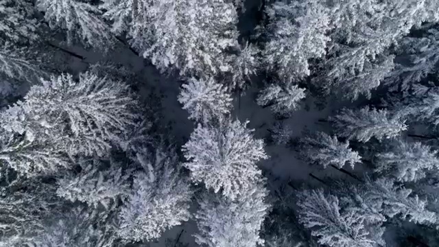  평택 사회복지사2급추천 ? 사회복지사2급 조건이 안돼도 온라인 수업으로 간단하게