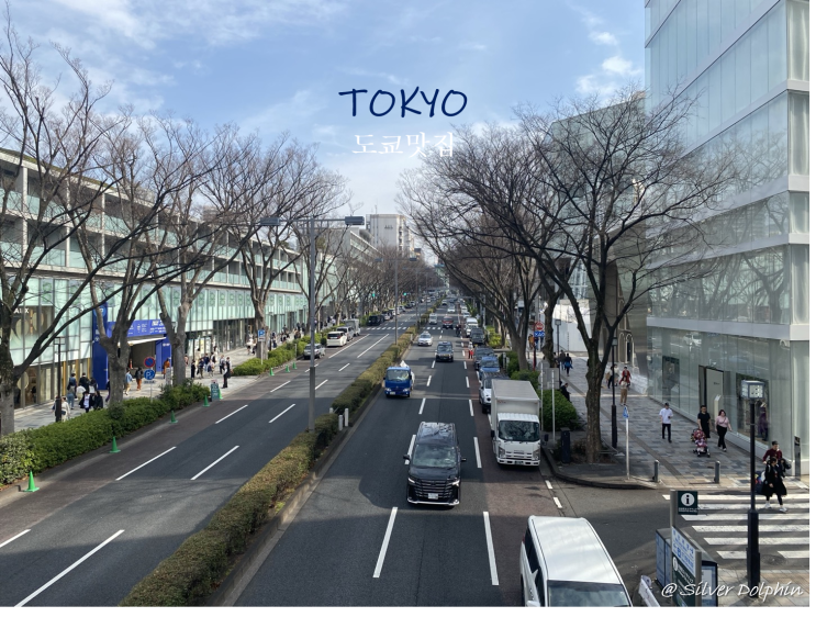  일본여행 도쿄 (Tokyo) 오모테산도 맛집 추천: 소바키리 미요타, 랄프스 커피