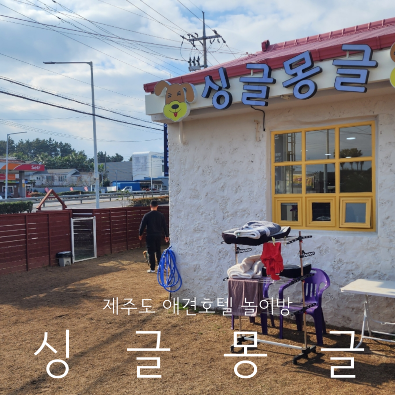 싱글몽글