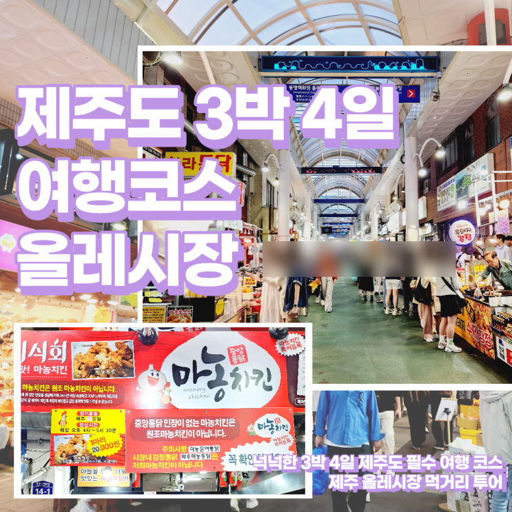  제주도 3박4일 여행코스 올레시장 먹거리 투어