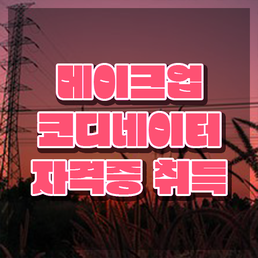  메이크업학교 , 메이크업코디네이터 자격증 상세한 준비한 과정 및 취업정보