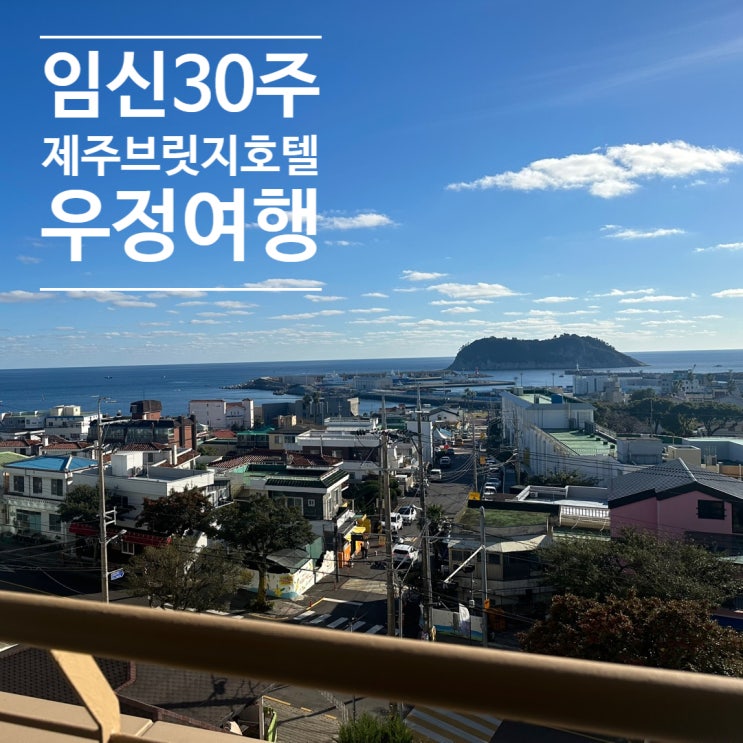  [임신 30주 태교] 제주도 우정여행 직거래예약 제주 브릿지 호텔