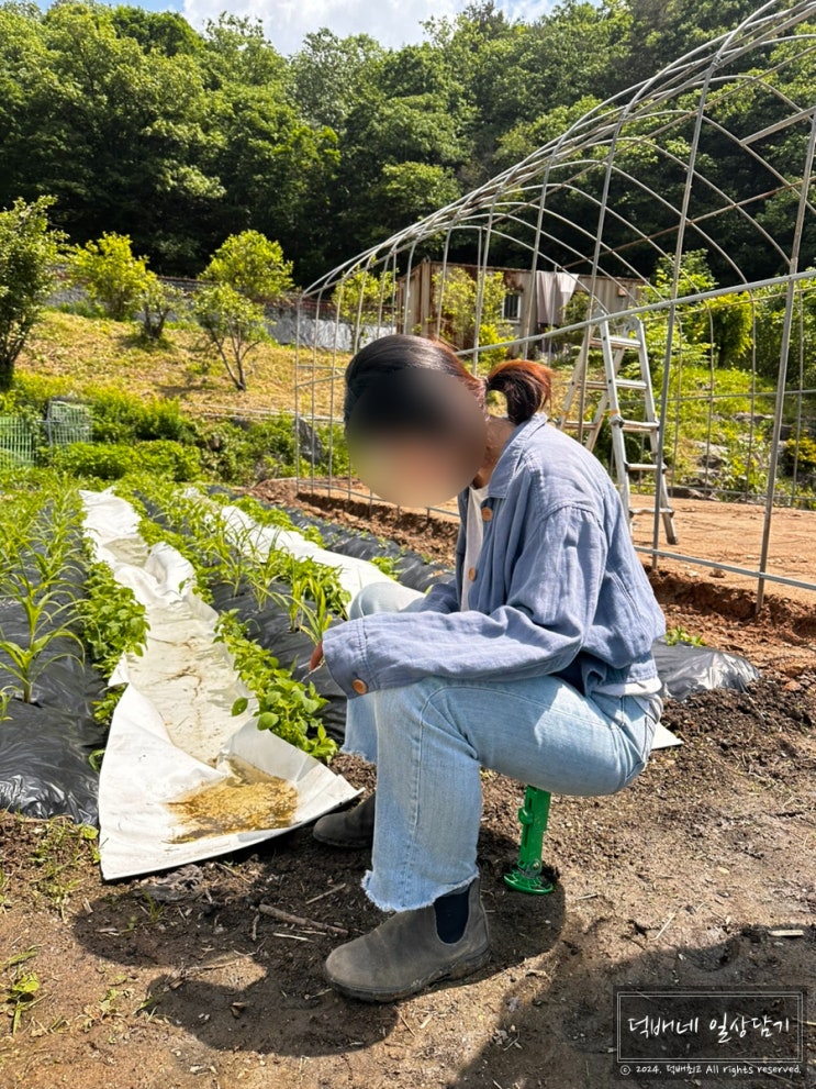  농사 필수템 농사의자 차고다니는의자 사용후기