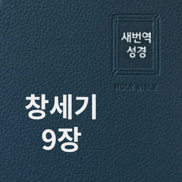 창세기 9장 창세기 9장